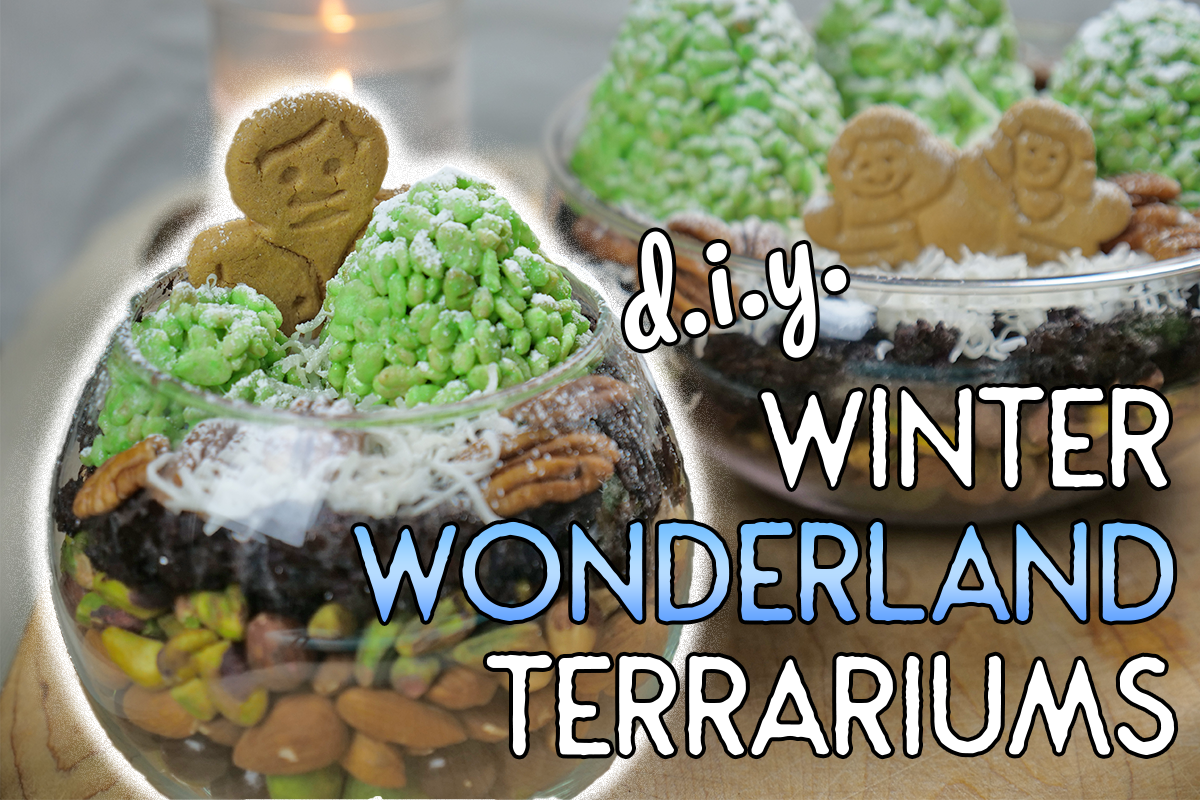 Winter Wonderland Terrariums, Gingerbread Terrarium